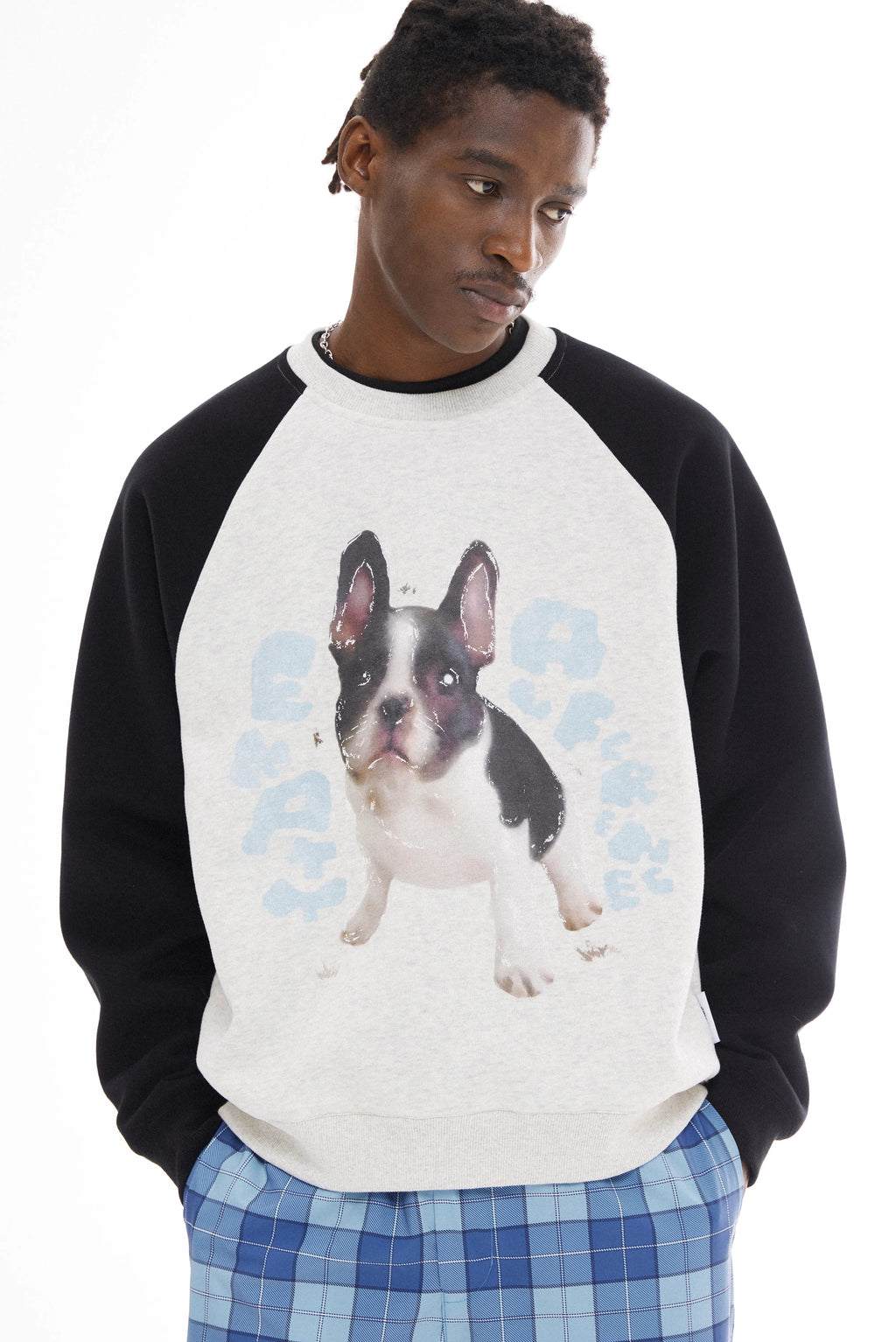 French Bulldog Graphic Sweatshirt